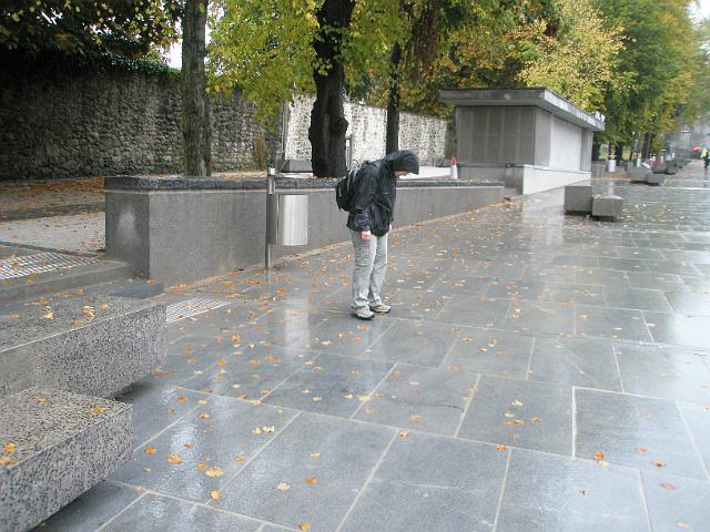 PA060639.JPG