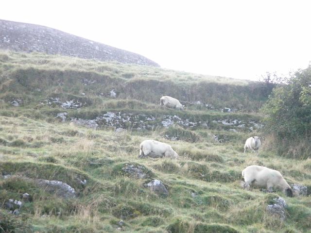 PA070713.JPG