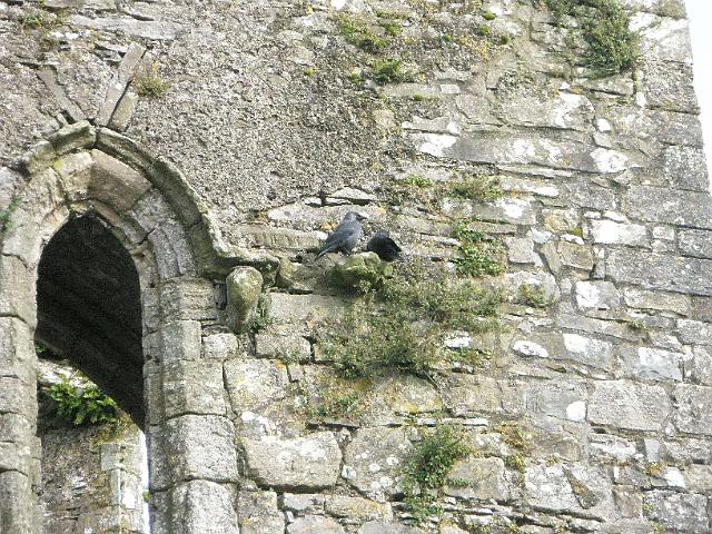 PA070744.JPG