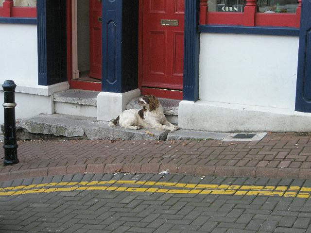 PA070844.JPG