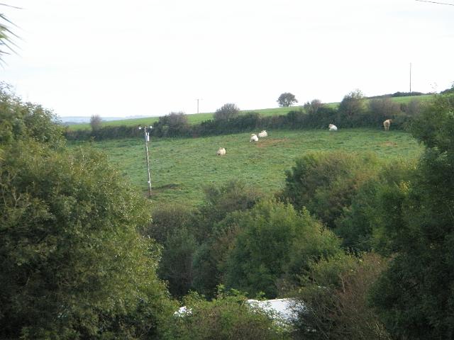 PA080930.JPG