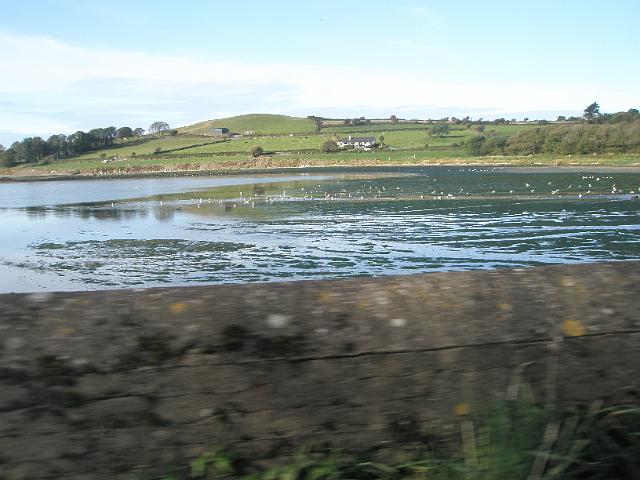 PA080936.JPG