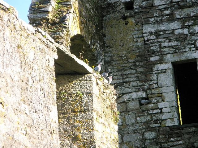 PA080953.JPG