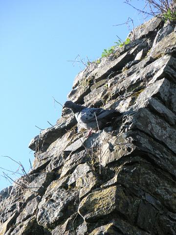 PA080972.JPG