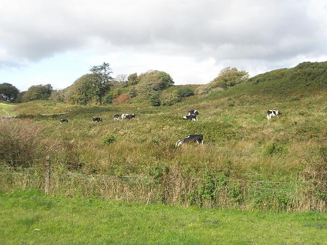 PA081003.JPG