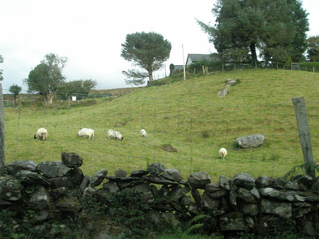 PA081090.JPG