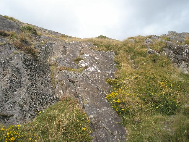 PA081117.JPG