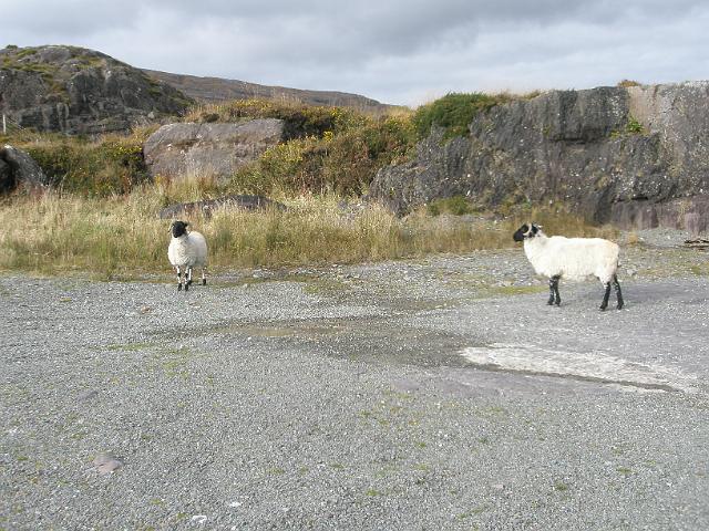 PA081124.JPG
