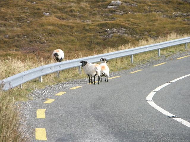 PA081126.JPG