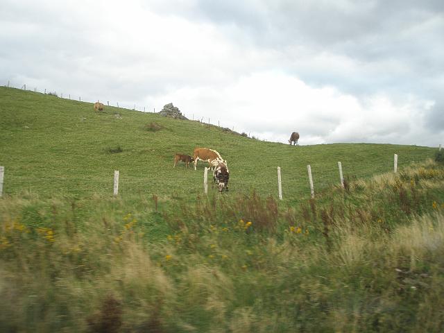 PA081155.JPG