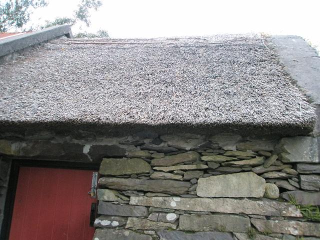 PA081161.JPG