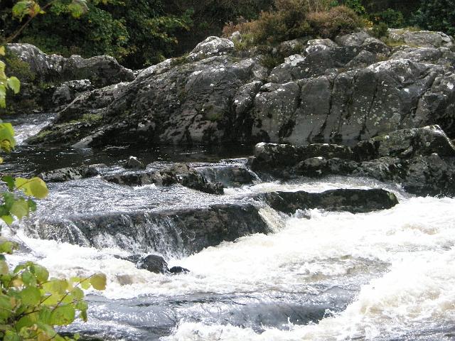 PA091206.JPG