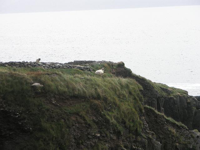 PA100053.JPG