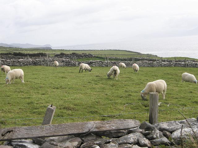 PA100068.JPG