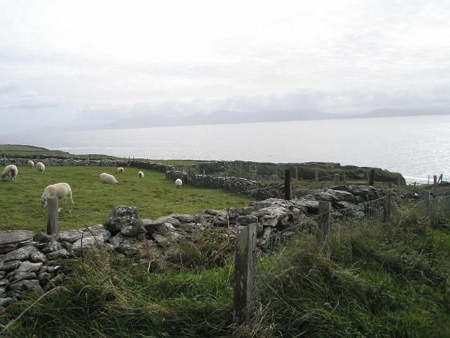 PA100069.JPG