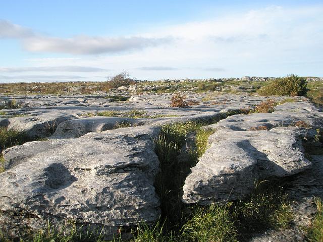 PA110313.JPG