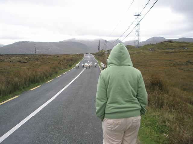 PA120421.JPG