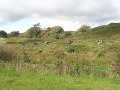 PA081003
