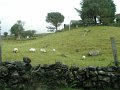 PA081090