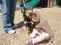 Kids